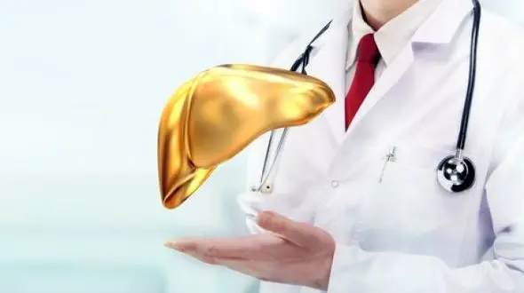 فوت و فن های خانگی برای درمان کبد چرب