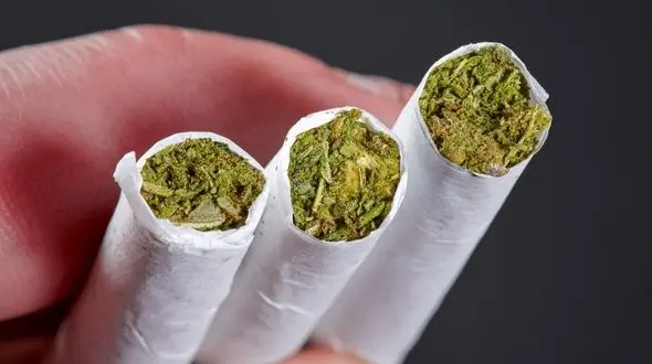 دستگیری چهار گُل فروش در کرمانشاه/ خودروهای آنان نیز توقیف شد