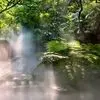 چهره های آرام طبیعت