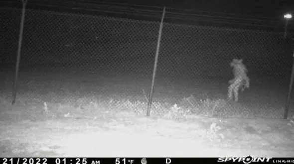 پرسه یک موجود عجیب و ناشناخته در حوالی باغ وحش ! + عکس وحشتناک