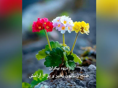 فال ابجد واقعی 3 مرداد 