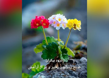 فال ابجد واقعی 3 مرداد 