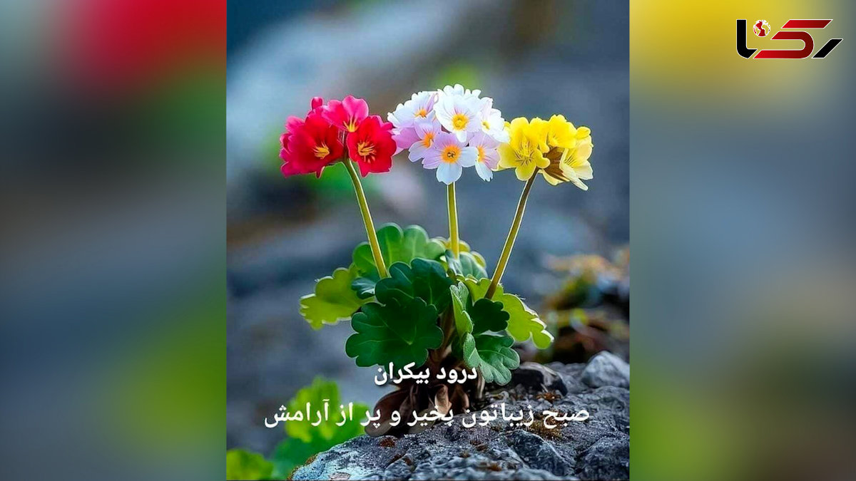 فال ابجد واقعی 3 مرداد 