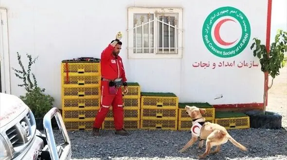 مرگ تلخ عمو سرنوشت اسماعیل را در خراسان تغییر داد + عکس