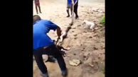 نجات یک سگ از دهان مار پیتون عظیم الجثه ! + فیلم