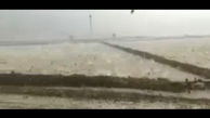 بارش عجیب سنگ از آسمان ترکیه! + فیلم
