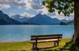 رها کن نفس بکش و دوباره شروع کن