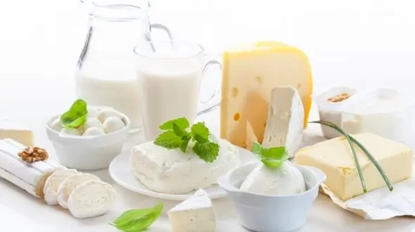  شیر سنتی یا پاستوریزه کدام بهتر است