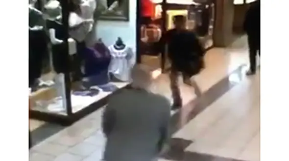 دستگیری دزد جواهرات از سوی پیرمرد شجاع+ فیلم 