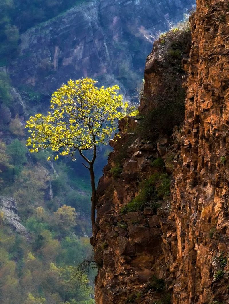 طبیعت زیبای جاده چالوس/مازندران