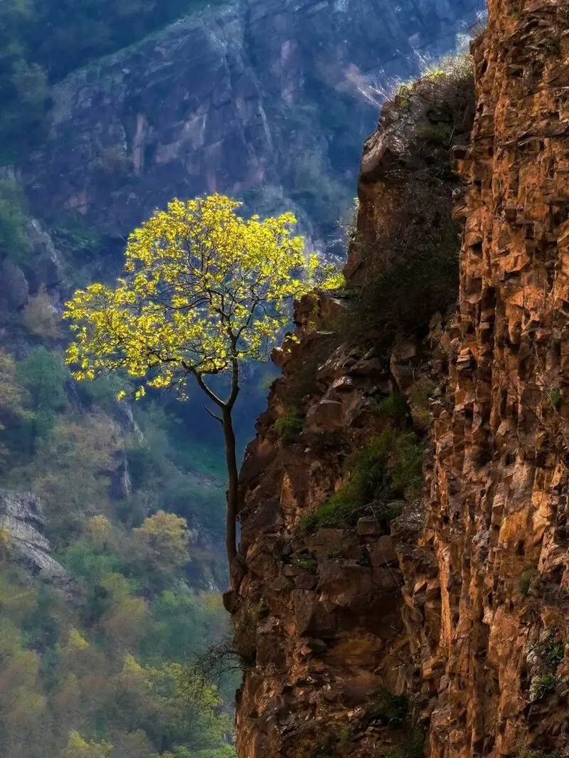 طبیعت زیبای جاده چالوس/مازندران
