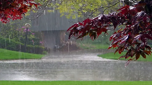 سیزده به در بارانی در راه است 