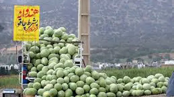 هندوانه و خربزه هندیجان راهی بازار شد