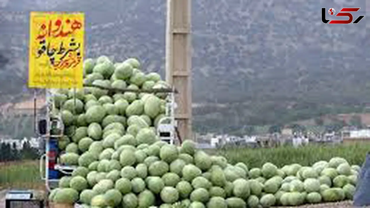هندوانه و خربزه هندیجان راهی بازار شد