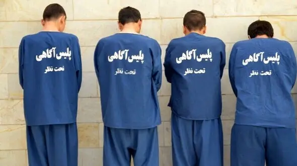 دزدان در زندان نقشه سرقت کشیدند و پس از آزادی عملی کردند / پلیس باند حرفه ای را زمنیگیر کرد