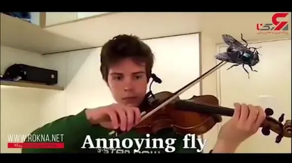 صدای گاو حتی موش با ویالن! + فیلم دیدنی 