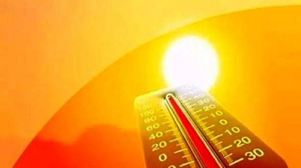 10 توصیه محرمانه از طب سنتی که تابستان را برایتان قابل تحمل‌تر می‌کند!