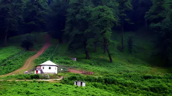 ببینید / زیبایی های روستای اسب چین در مازندران + فیلم 
