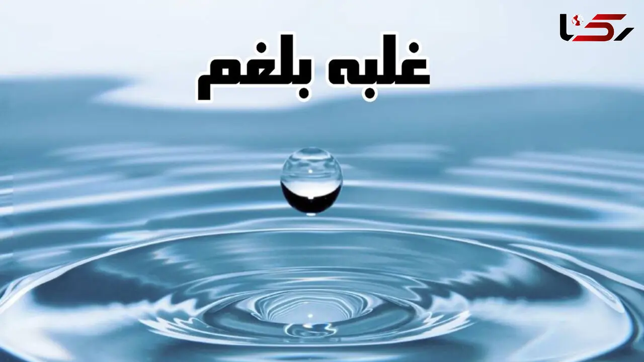 بلغم چیست؟ / جدول های مهم در رابطه با بلغم
