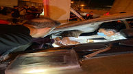 عکس تلخ از تصادف مرگبار پژو با تیرچراغ برق در شیراز