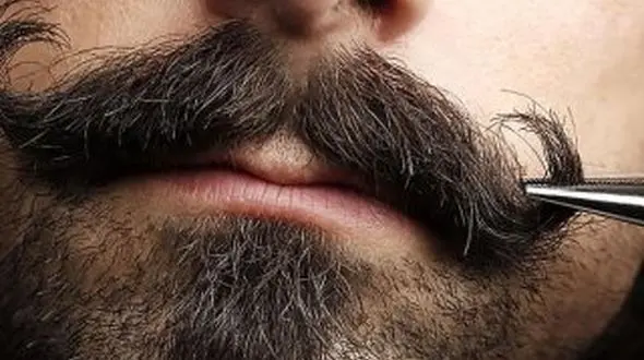 مردان علاقه مند به سبیل بخوانند