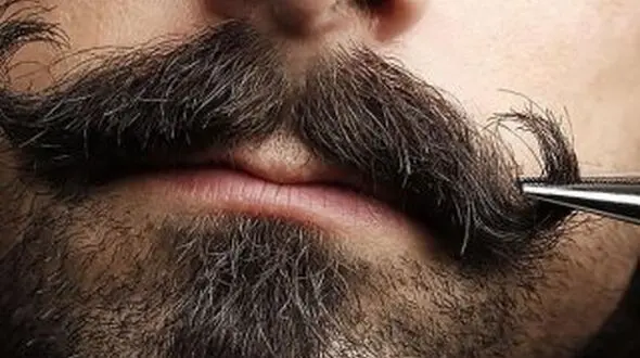 مردان علاقه مند به سبیل بخوانند