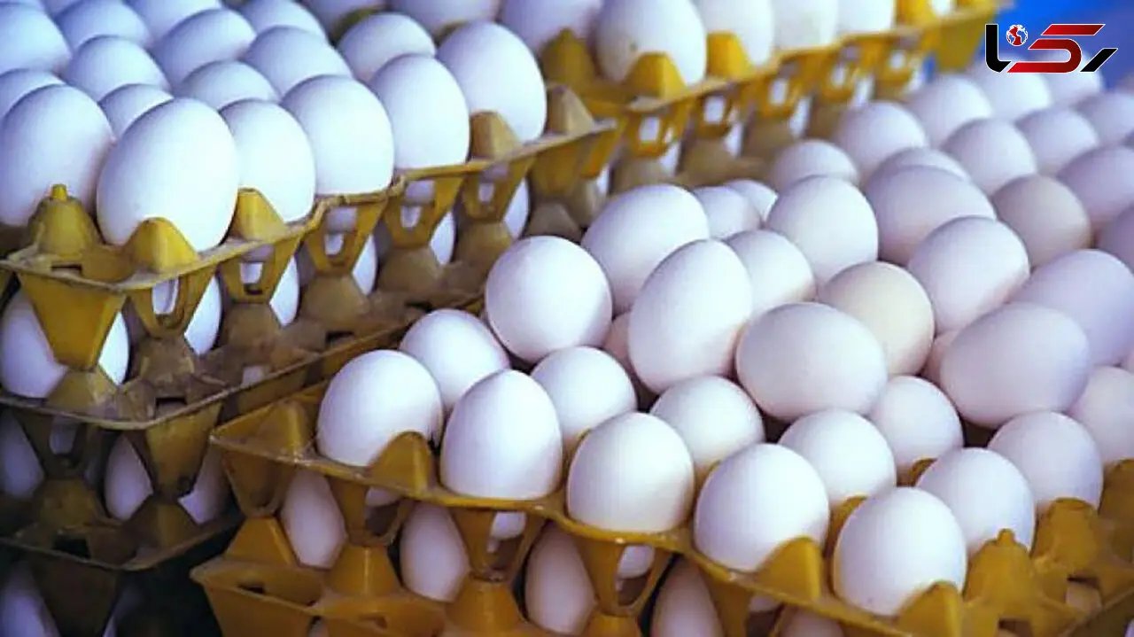 قیمت تخم مرغ قانونی گران شد