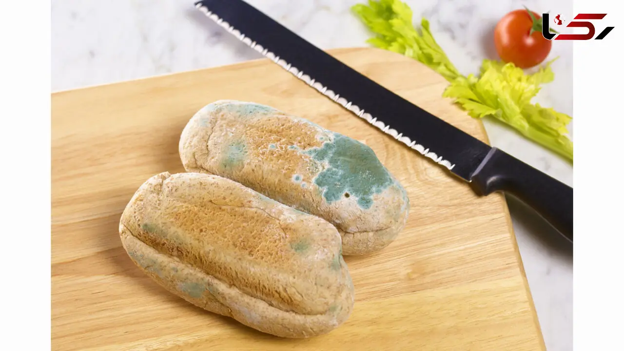 خطراتی در معرض کپک قرار گرفتن