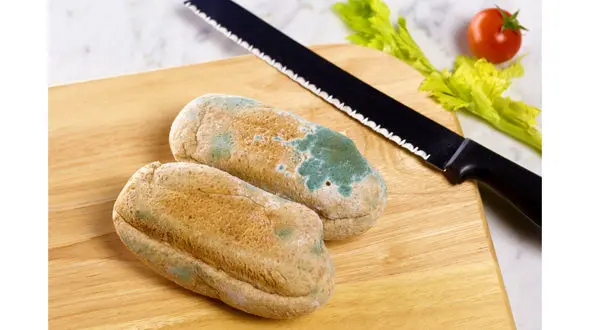 خطراتی در معرض کپک قرار گرفتن