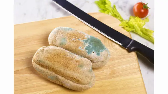 خطراتی در معرض کپک قرار گرفتن