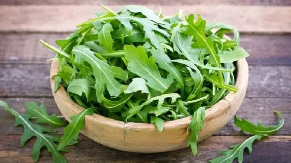 خواص عرق کاسنی؛ از درمان چاقی تا کنترل بیماری های کبدی

