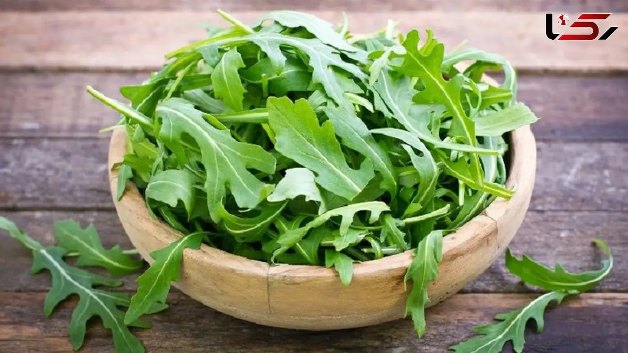 خواص عرق کاسنی؛ از درمان چاقی تا کنترل بیماری های کبدی
