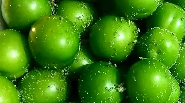 واکنش جالب یک بلاگر خارجی بعد از خوردن گوجه سبز! 