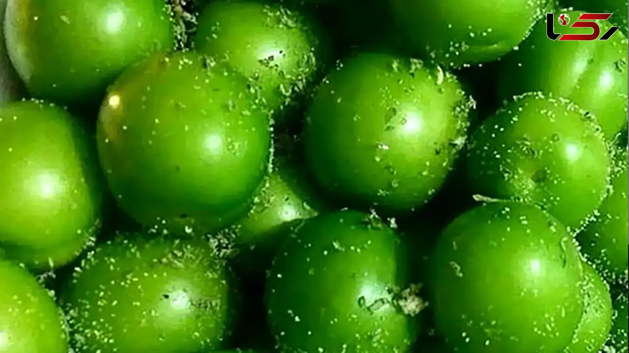گوجه سبز لاکچری شد