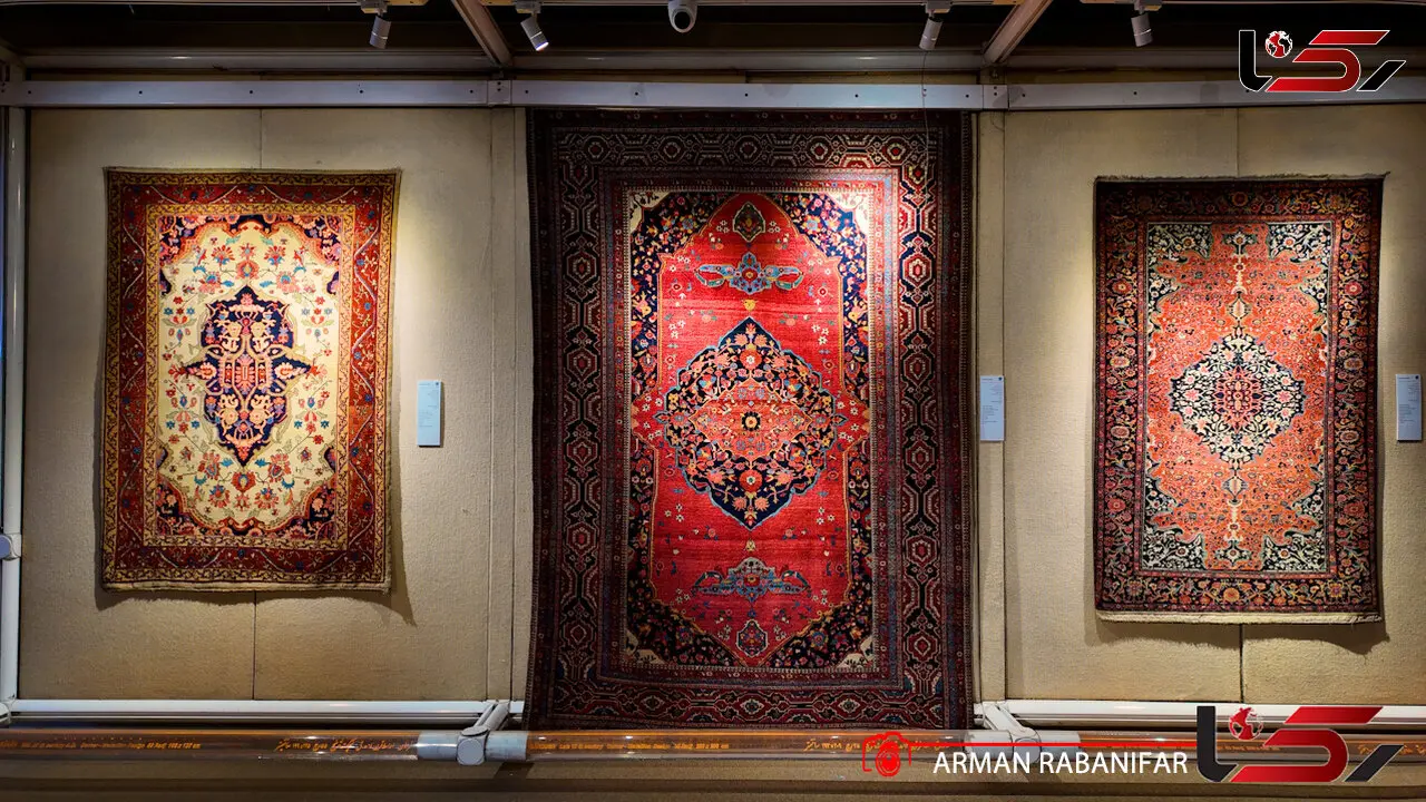 معاون میراث فرهنگی کشور: وجود موش در موزه فرش محتمل است + فیلم
