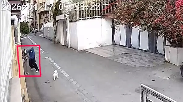 فیلم لحظه شکار زنان مازندرانی در کوچه پس کوچه های خلوت ساری / 2 چاقوکش سایه به سایه در تعقیب این زنان بودند