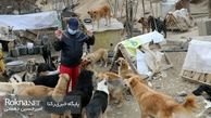 پناهگاه فقیرانه 500 سگ زاغه نشین تهران + فیلم 