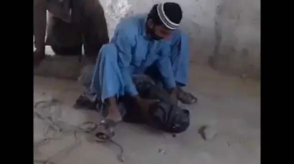 فیلم لحظه زنده‌گیری یک تمساح بزرگ توسط مرد روستایی در چابهار 