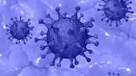  تشخیص ویروس کرونا با حسگر مبتنی بر کاغذ