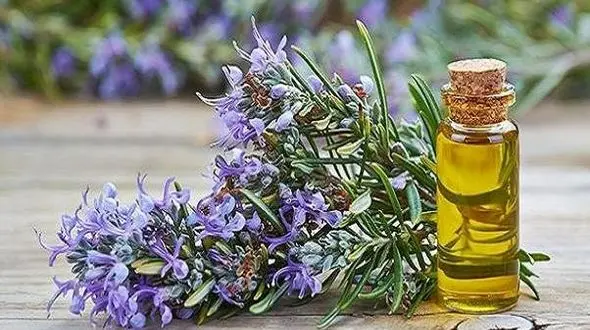 حافظه کودکان تان با این روغن تقویت کنید