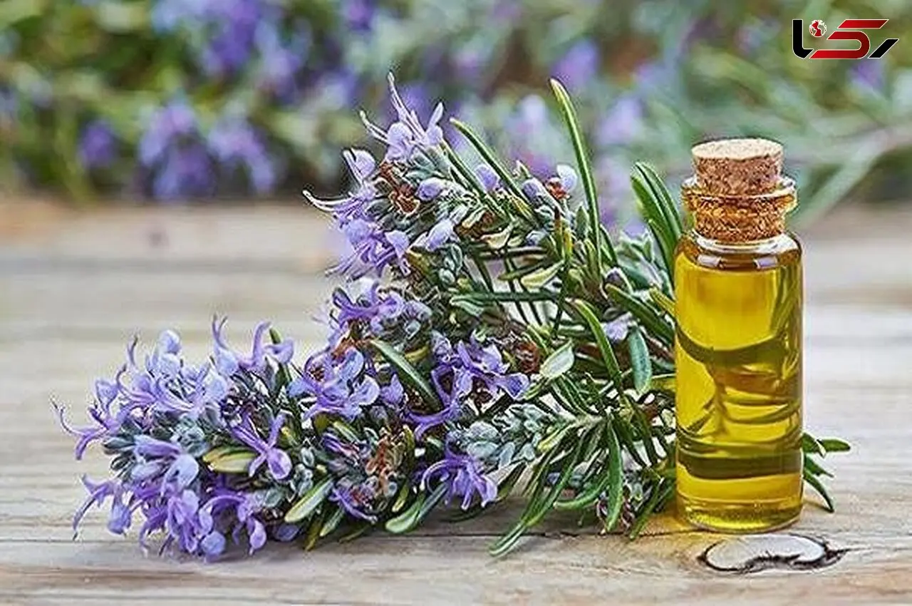 حافظه کودکان تان با این روغن تقویت کنید