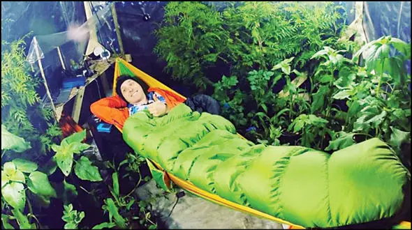 این 200 گیاه مردی را از زندان خودساخته فراری دادند + عکس