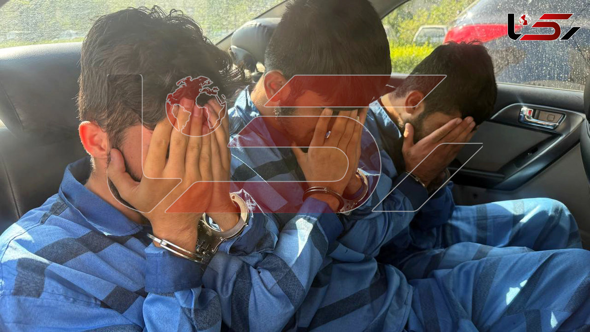 گفت و گو با دزد تازه کار / چگونه به دختر جوان در سعادت آباد حمله کردند؟