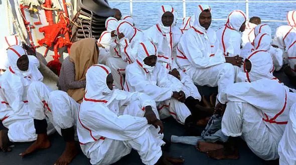 کوسه ها 31 انسان را زنده زنده خوردند+ عکس