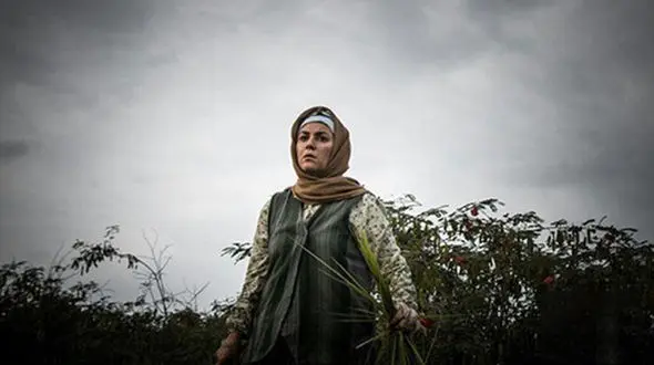 ماجرای وقفه در پخش سریال «گیله وا» چیست؟ +عکس