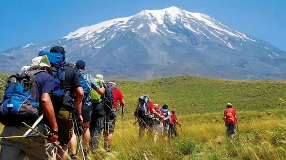 ورزش مناسب برای بهبود هر بیماری 
