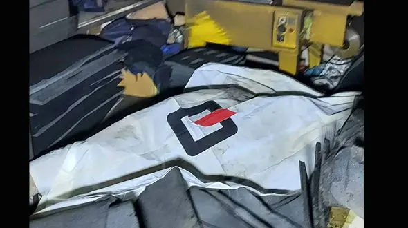 مرگ غم انگیز پاکبان همدانی