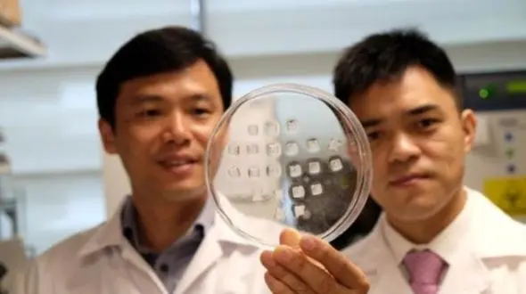 معجزه‌ای نوین در کاهش وزن؛ آشنایی با برچسب‌های جدید