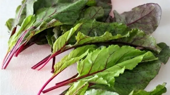 خواص خارق العاده  این سبزی را جدی بگیرید