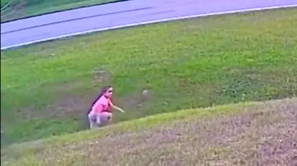 ببینید / لحظه حمله وحشیانه یک سگ به دختر بچه و دفاع سگ مدافع + فیلم